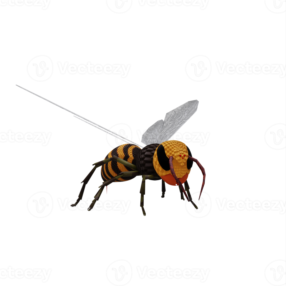 3d Wasp isolated png