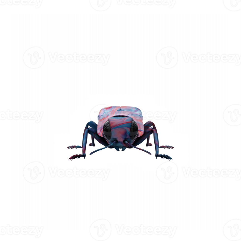 3d Agrilus isolated png