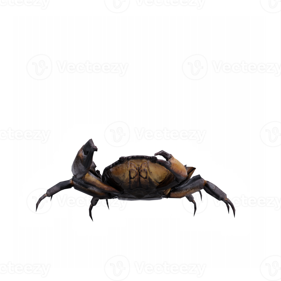 3d Crab isolated png