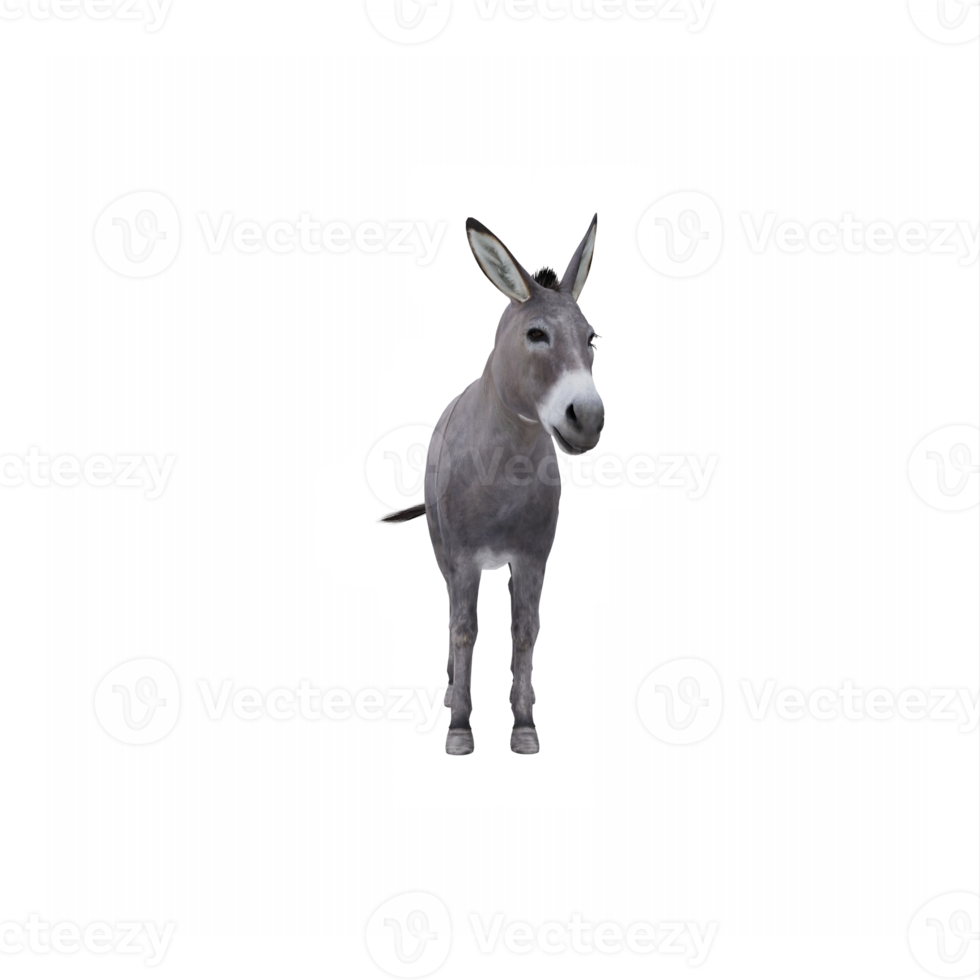 3d Donkey isolated png
