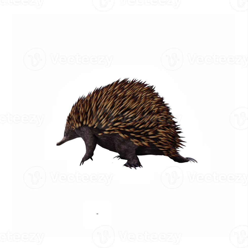 3d echidna isolato png