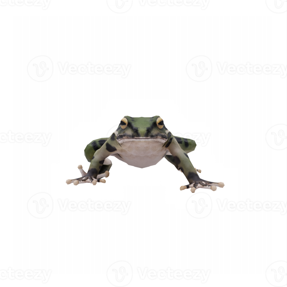 3d grenouille isolé png