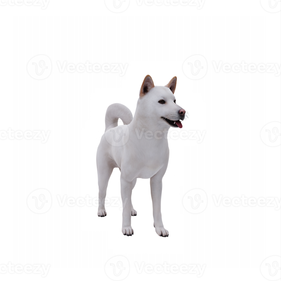 3d Jindo Dog png