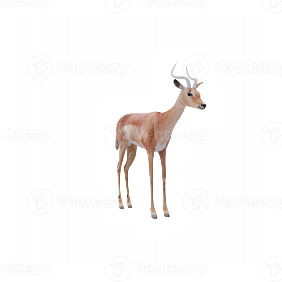 3d Impala isolated png