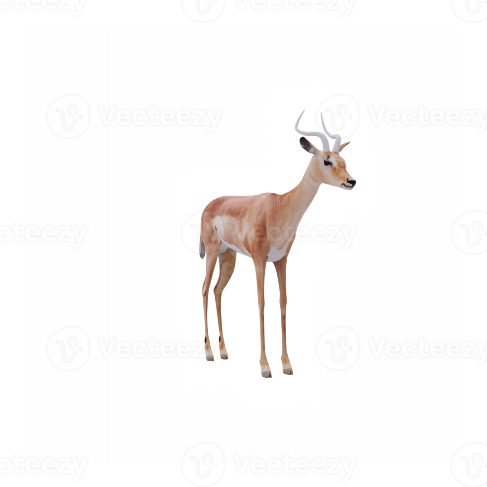 3d impala isolato png