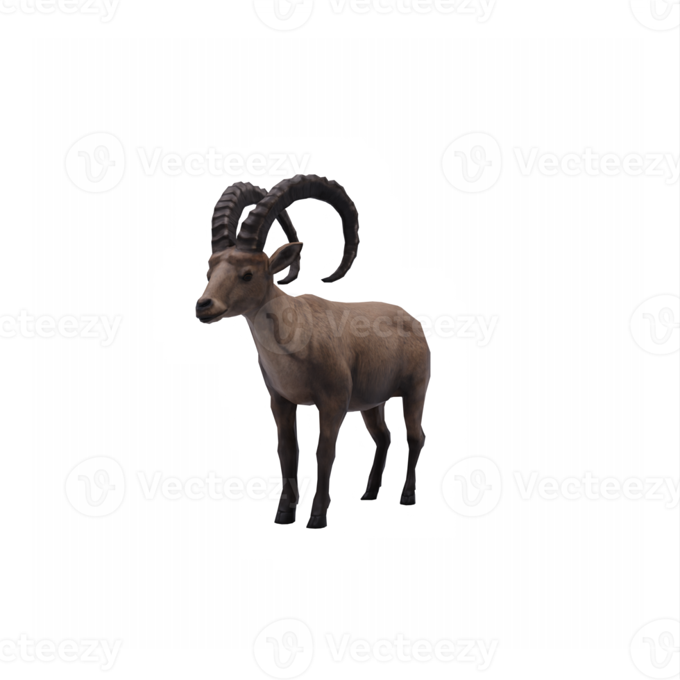 3d ibex isolé png