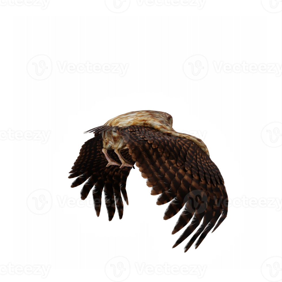 3d hibou isolé png