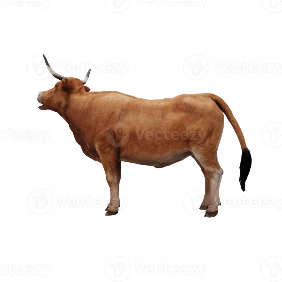 granja animal buey png