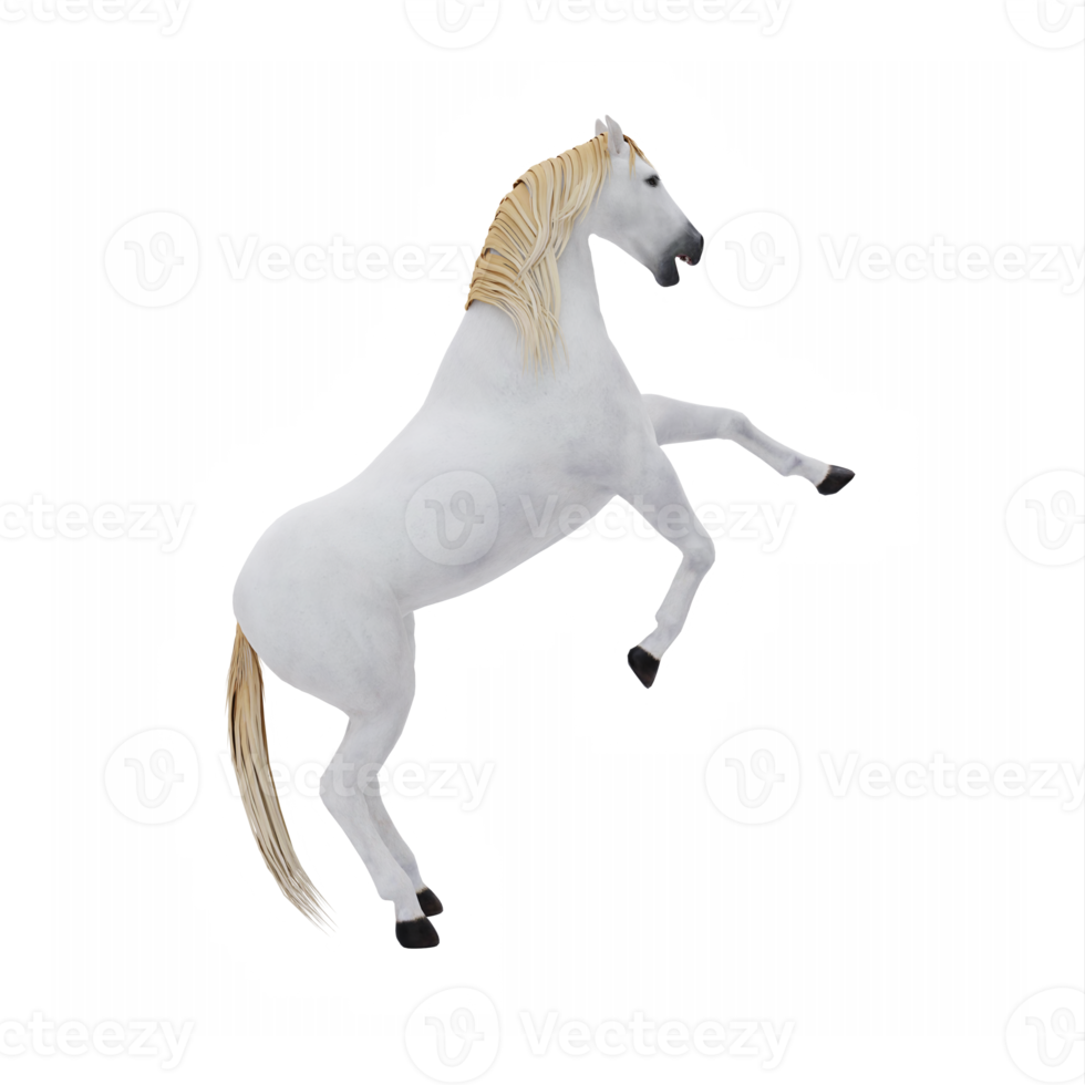 White horse isolated png