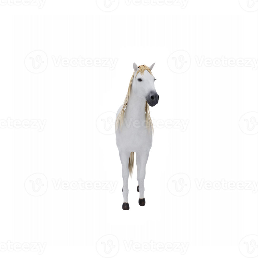 Free White horse isolated 22308516 PNG with Transparent Background