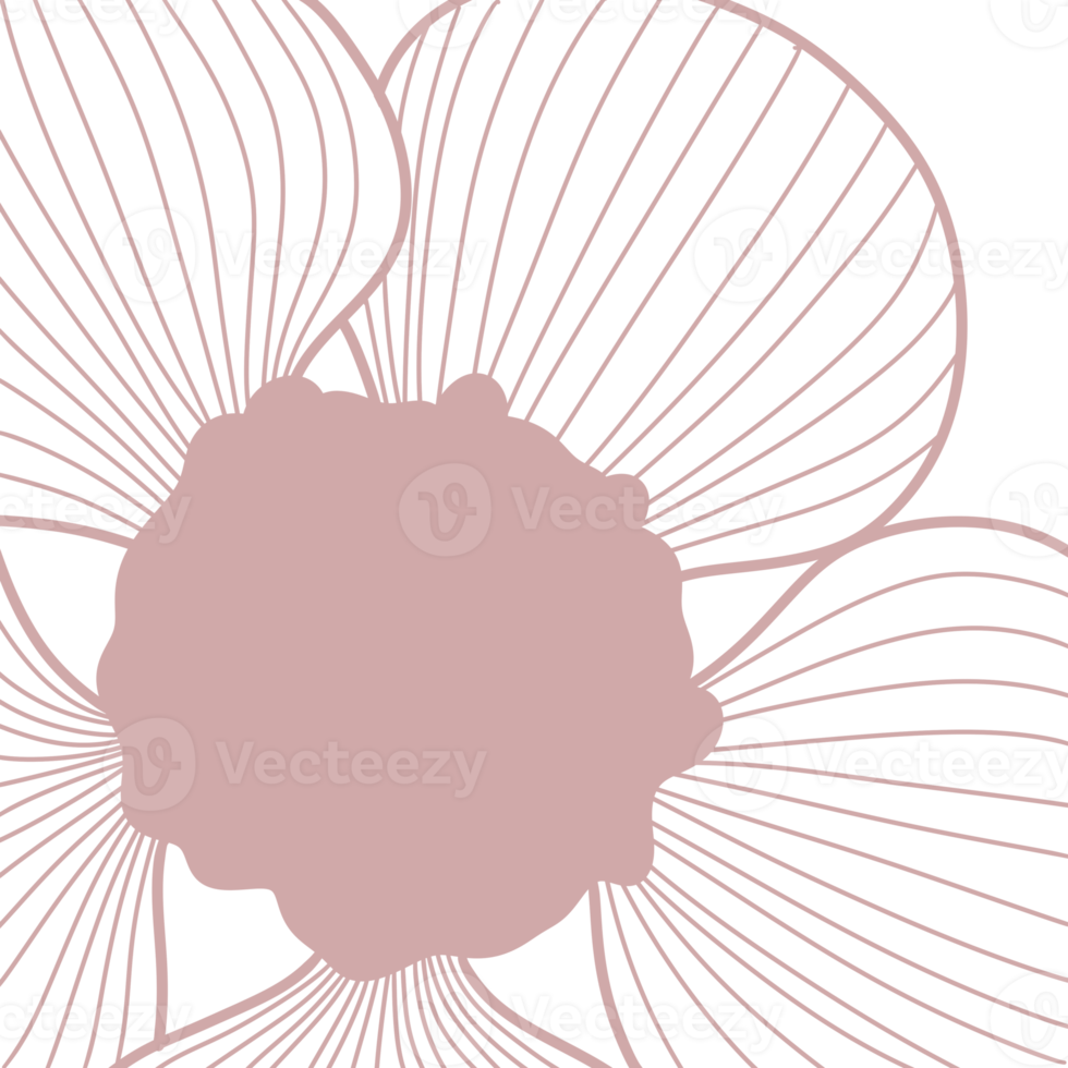 Macro Flowers line art png