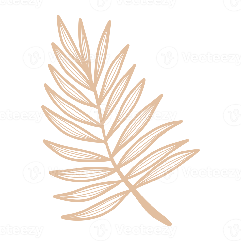 feuille de dessin au trait png