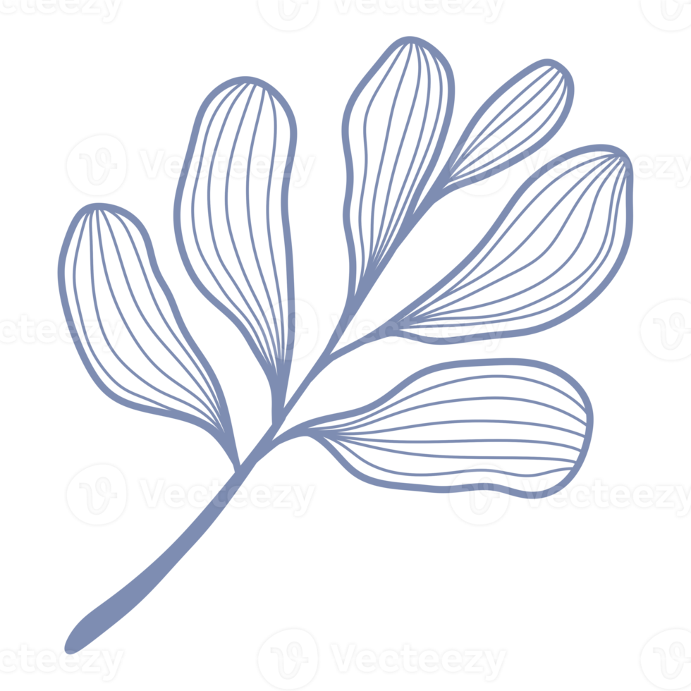 feuille de dessin au trait png