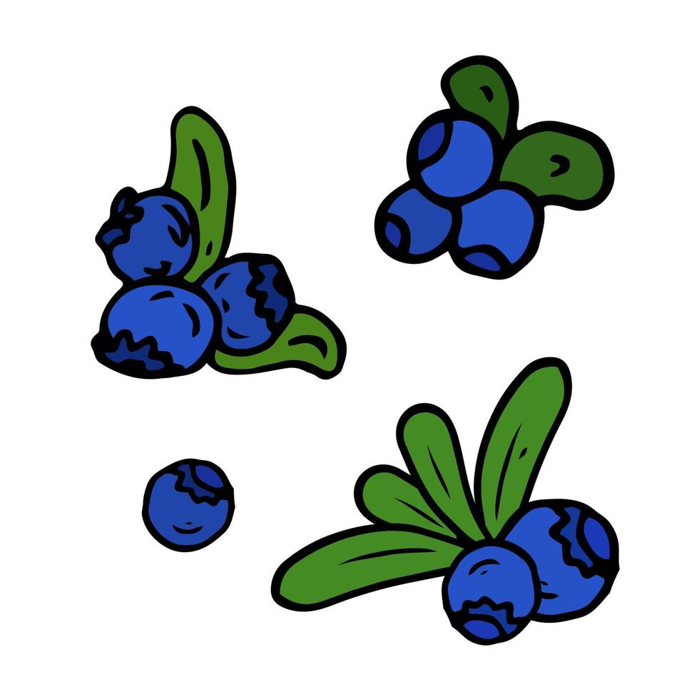 Blueberry Isolated doodle vector illustration. Concept of summer, fruits, berries and healthy food.