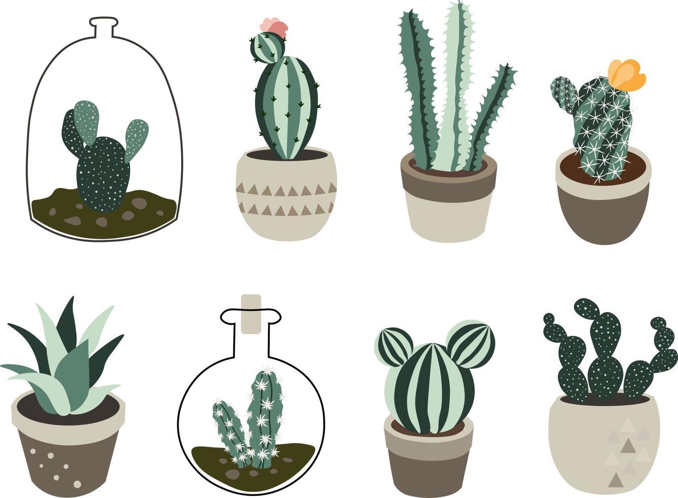 Set of cactus plants home garden botanic houseplant vector