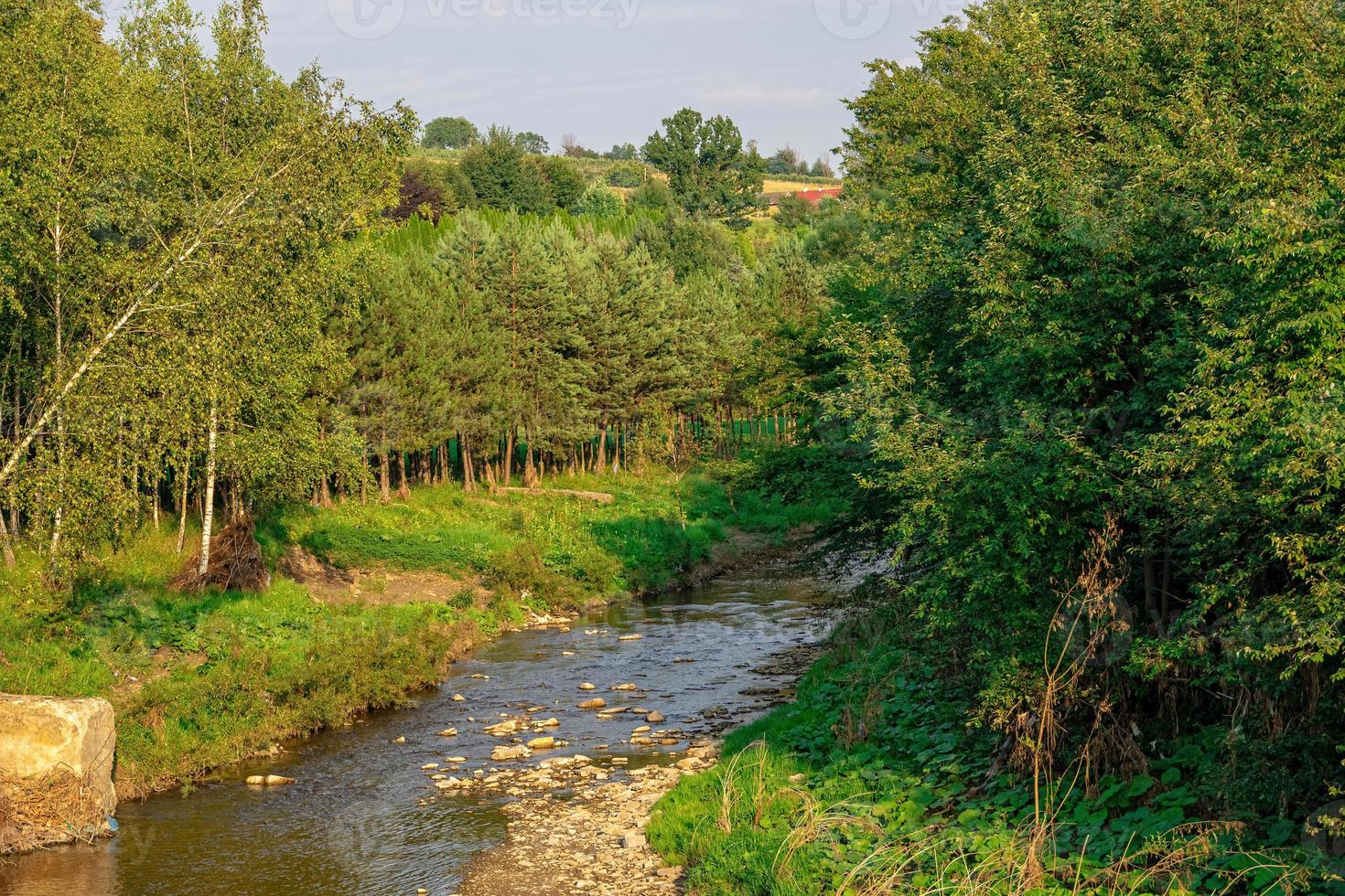 paisaje con un montaña corriente fluido entre arboles en un verano día en Polonia foto