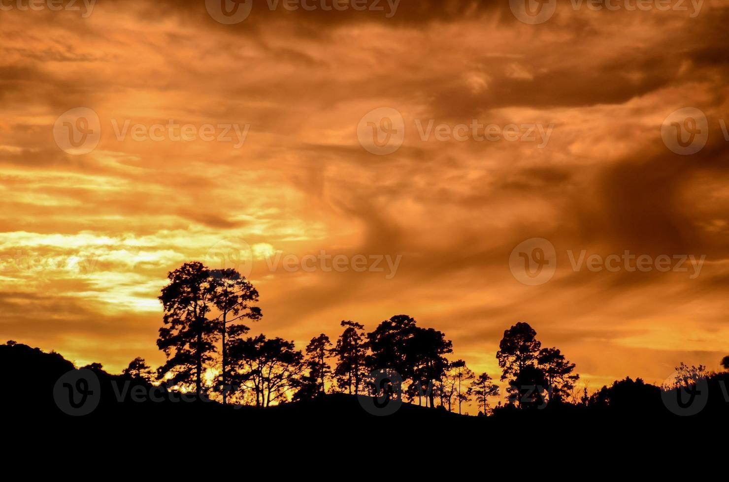 cielo colorido al atardecer foto