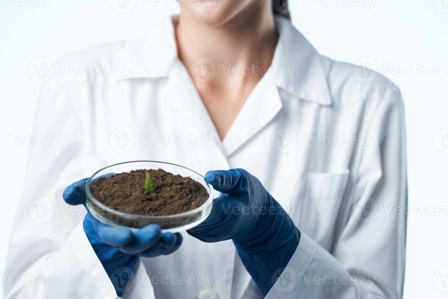 woman laboratory assistant research biology experiment photo