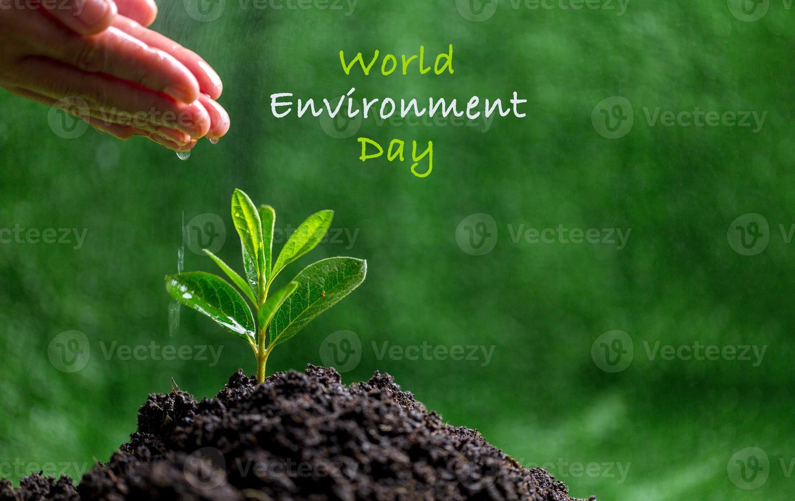 People are watering small plants by hand on green blur nature background, earth day or world environment day concept. Green world and sustainable conservation of forest resources. photo