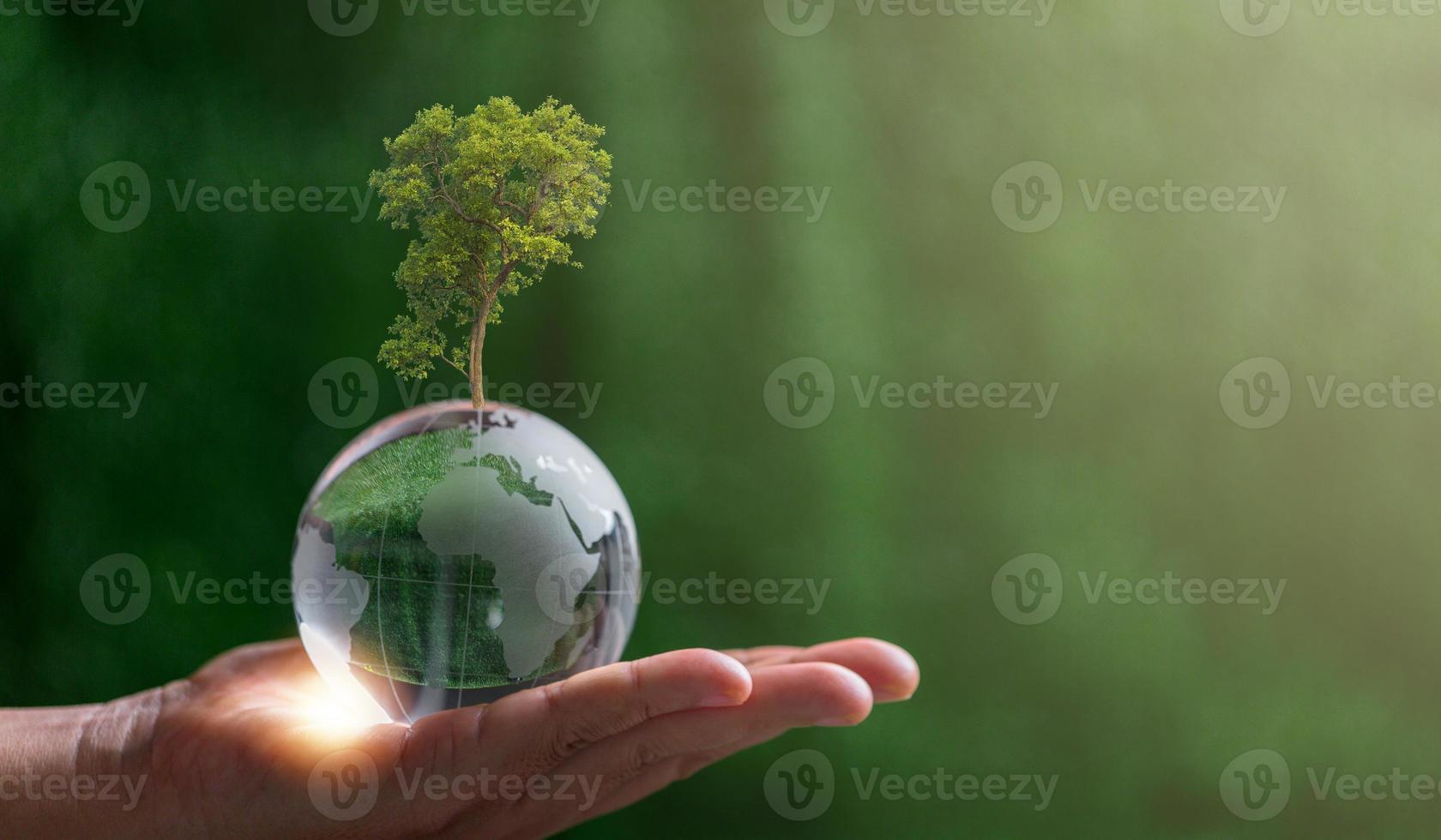 Close up of hand holding crystal globe with tree on green blur nature background, earth day or world environment day concept. Green world and sustainable conservation of forest resources. photo