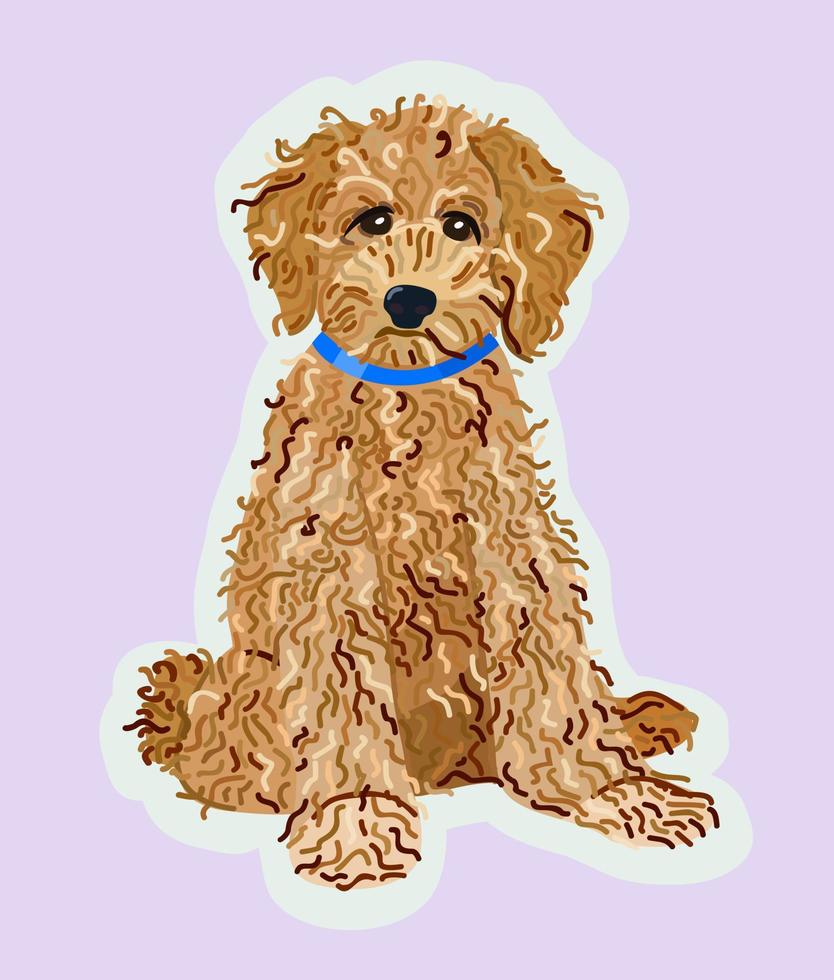 vector aislado ilustración de labradoodle.