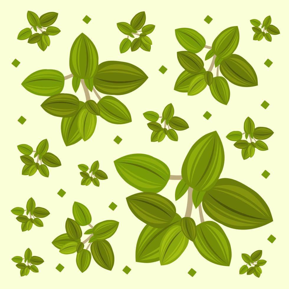 Oregano vector illustration for graphic design and decorative element