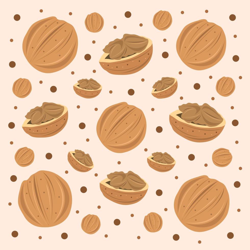 Walnut vector illustration for graphic design and decorative element