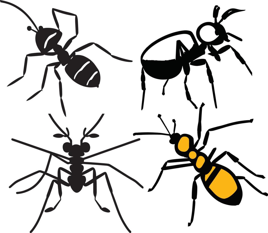Beautiful Worker Ants Vector Line Art