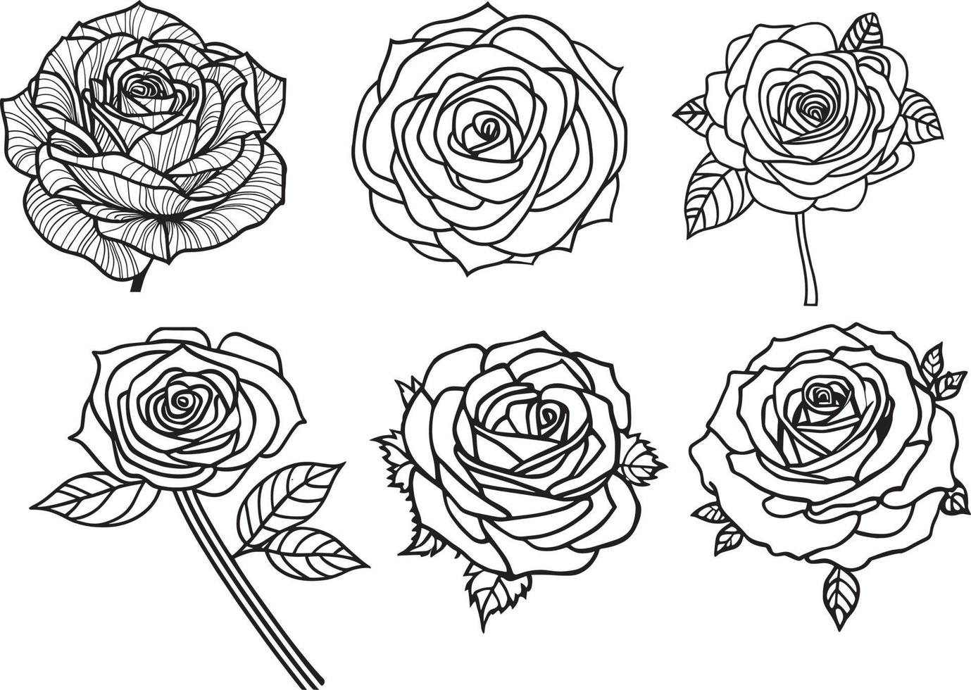 Roses Drawing Line Art Vector Illustration