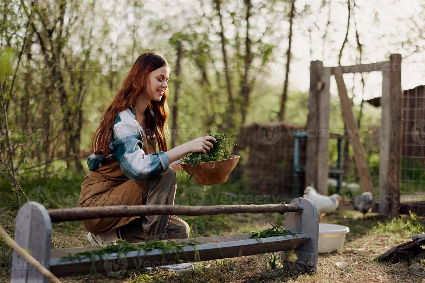 Young beautiful woman bird farm worker smiling and happy feeding chickens at the feeding trough outdoors sitting on the green grass photo