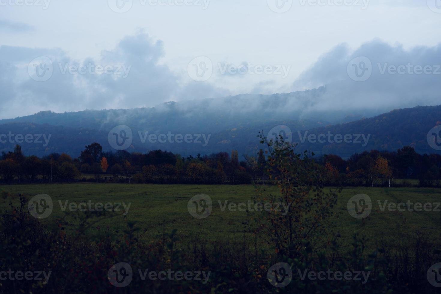montañas verde césped montañas niebla viaje naturaleza foto