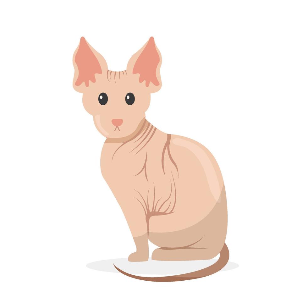 cartoon cat. pet characters illustration vector