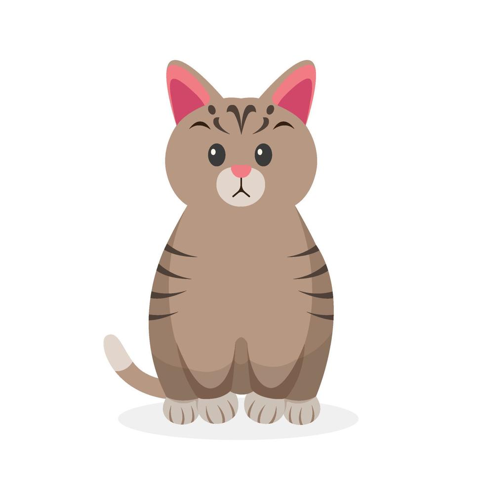 cartoon cat. pet characters illustration vector