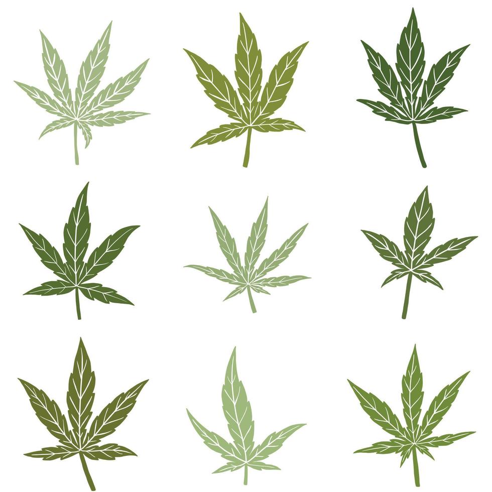 simplicidad hoja de cannabis dibujo a mano alzada colección de diseño plano. vector