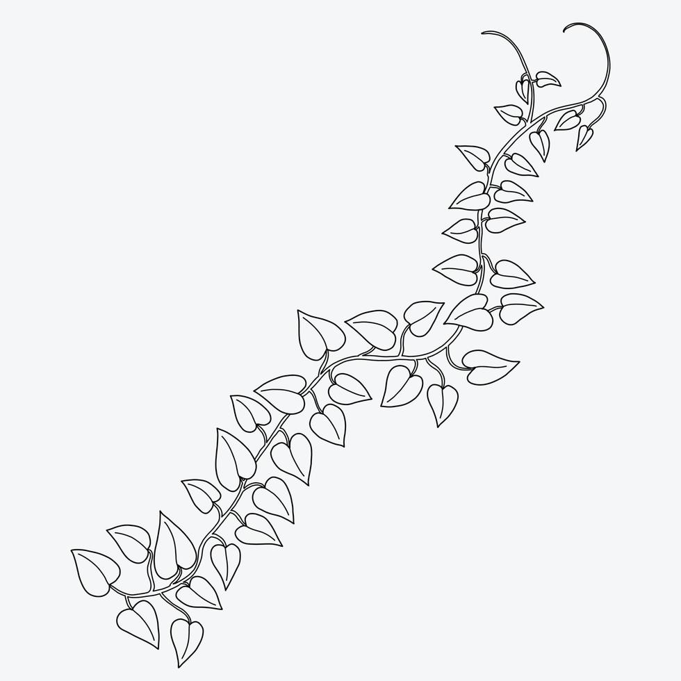 Floral ivy drawing decorative ornament flat design. vector