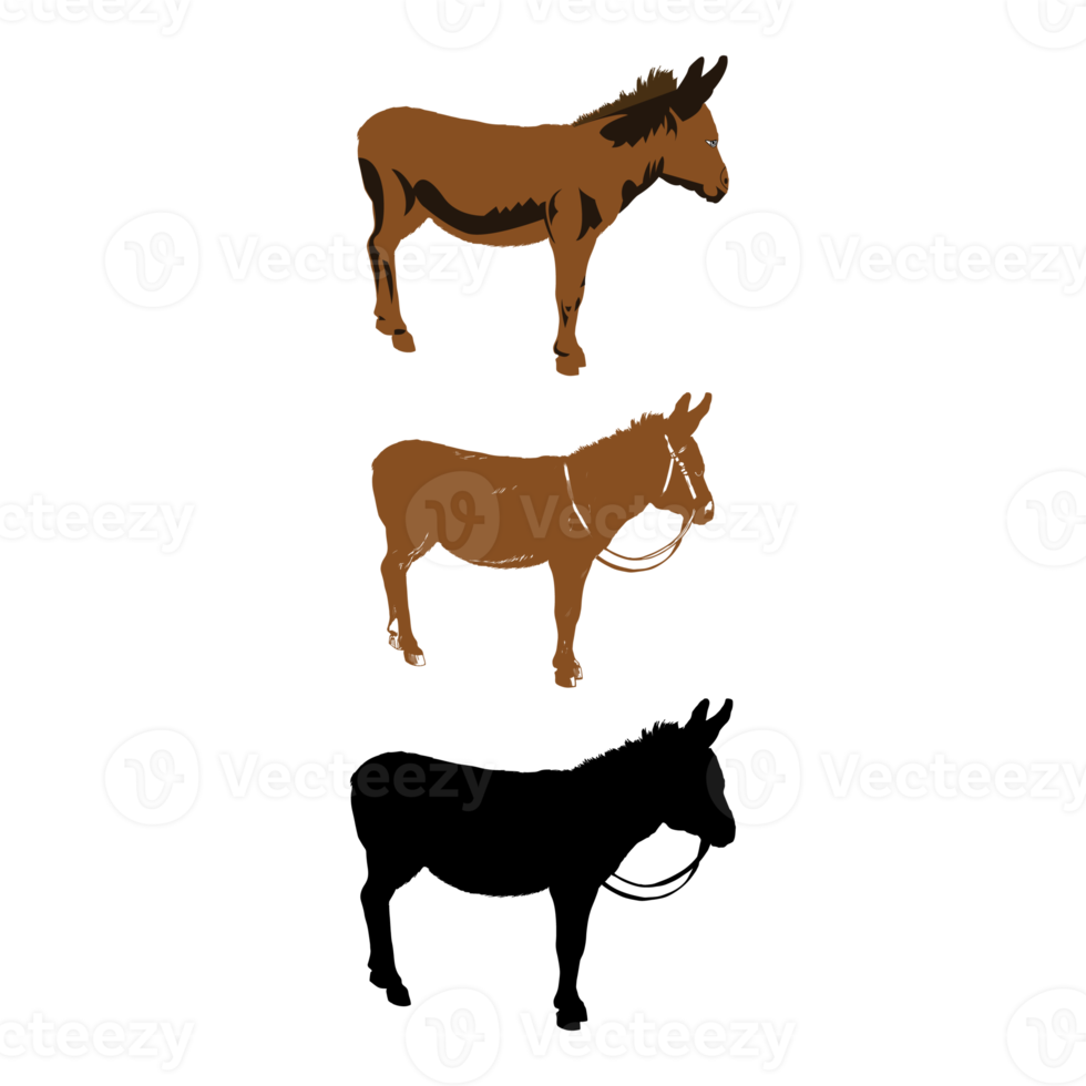 gráficos do asno mula isolado em branco fundo png