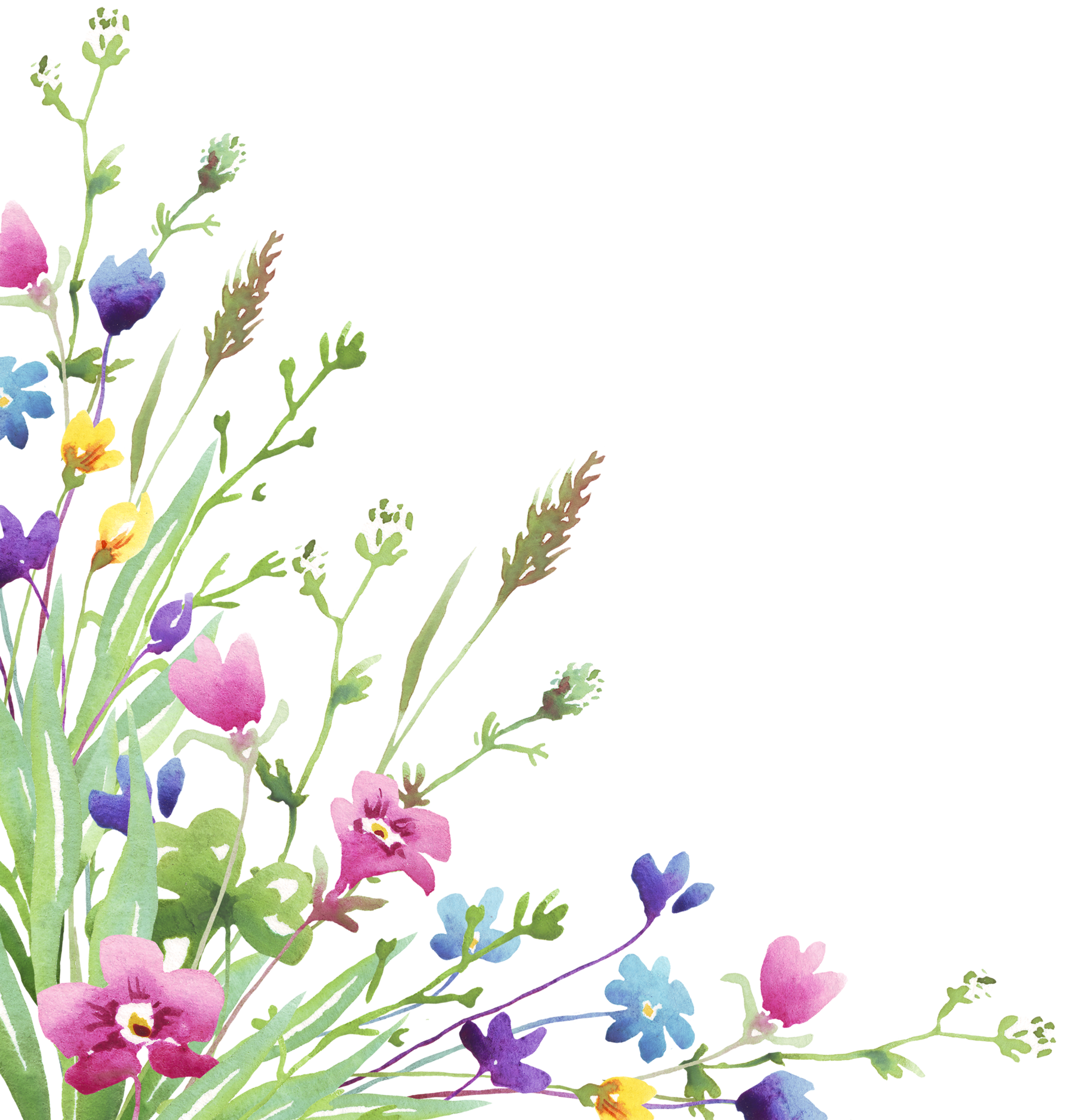 Wildflower frame watercolor clipart 22316332 png