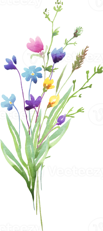 wilde bloemen boeket. waterverf clip art png