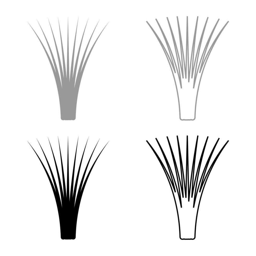 Edible grass lemongrass Cymbopogon citratus spices vegetable herbal plant set icon grey black color vector illustration image solid fill outline contour line thin flat style