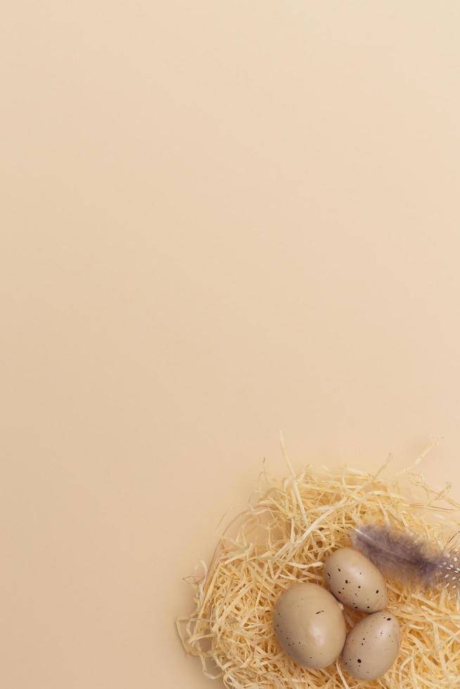 Easter eggs and feather in a nest on beige Background. Minimal creative layout with copy space. Top view. Flat lay. photo