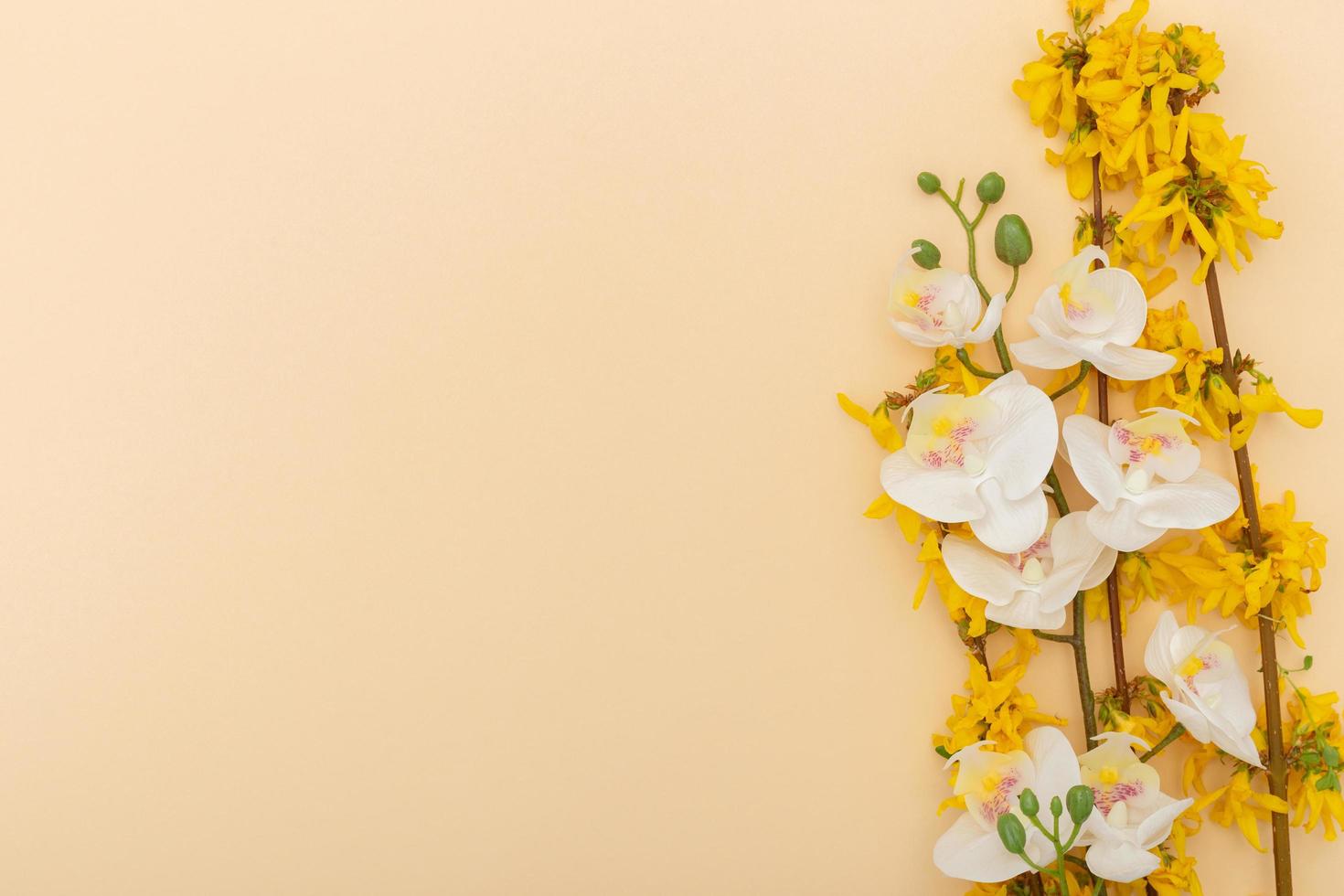 Minimalist spring beige background with pastel colors and springtime elements such as white Orchid, branches and yellow flowers, suitable for brochures, flyers, banners, or wallpapers. Creative layout photo