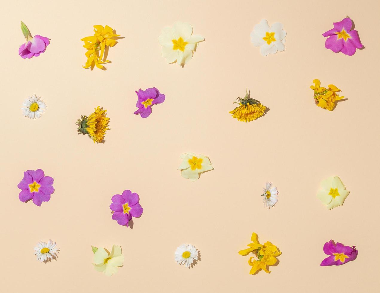 Pattern made with fresh Spring colorful flowers on beige Background. Aesthetic flat lay. Minimal styled concept. photo