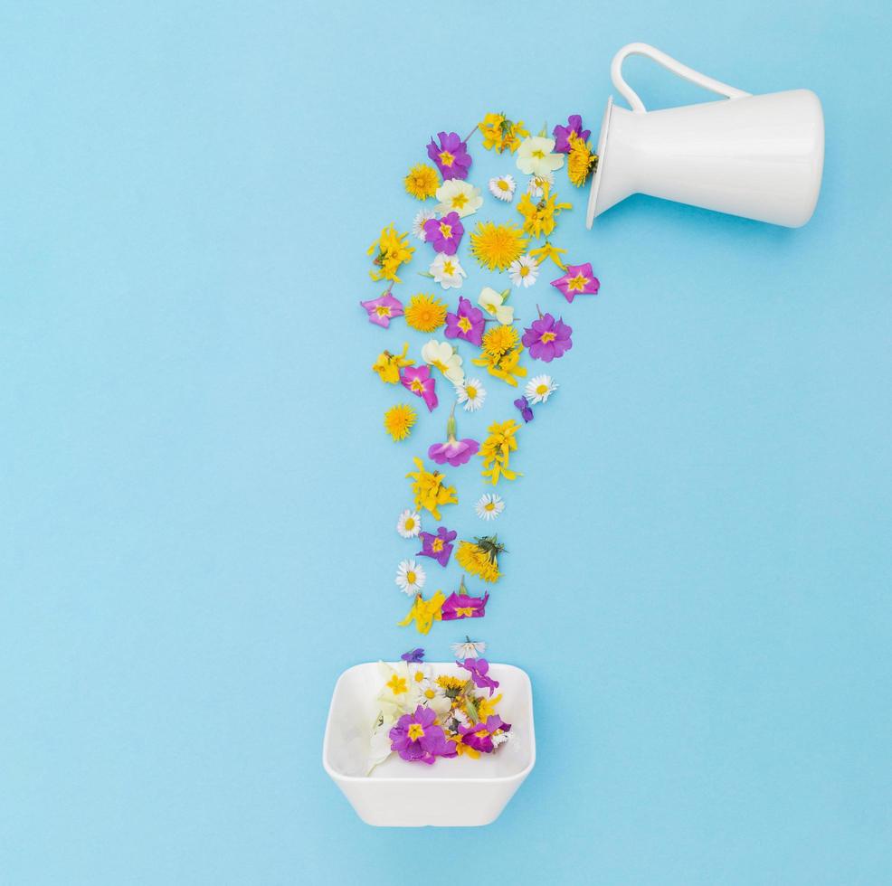 Creative layout with fresh colorful spring flowers pouring from a jug on pastel blue background. Aesthetic flat lay. photo