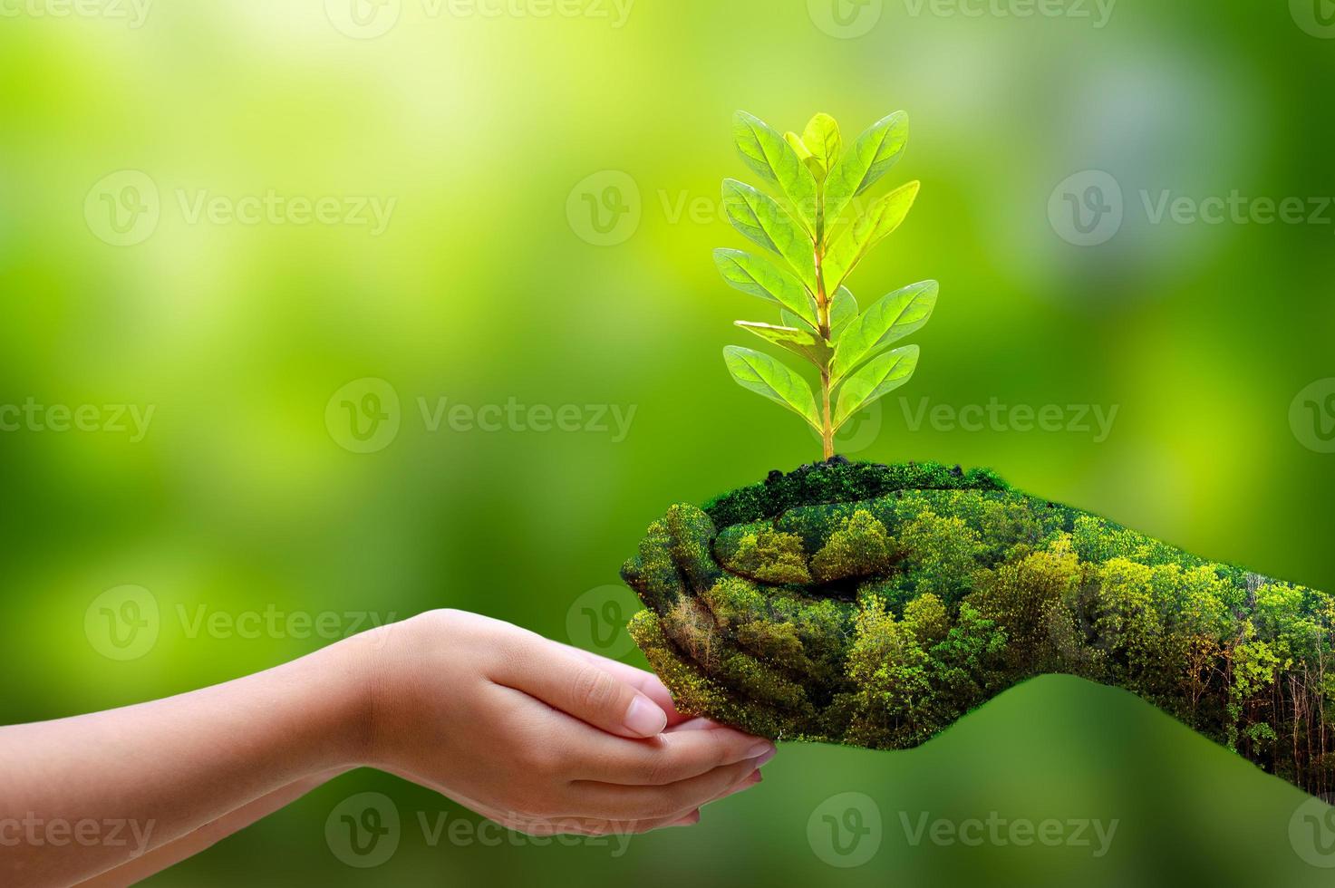 Concept Save the world save environment The world is in the grass of the green bokeh background photo
