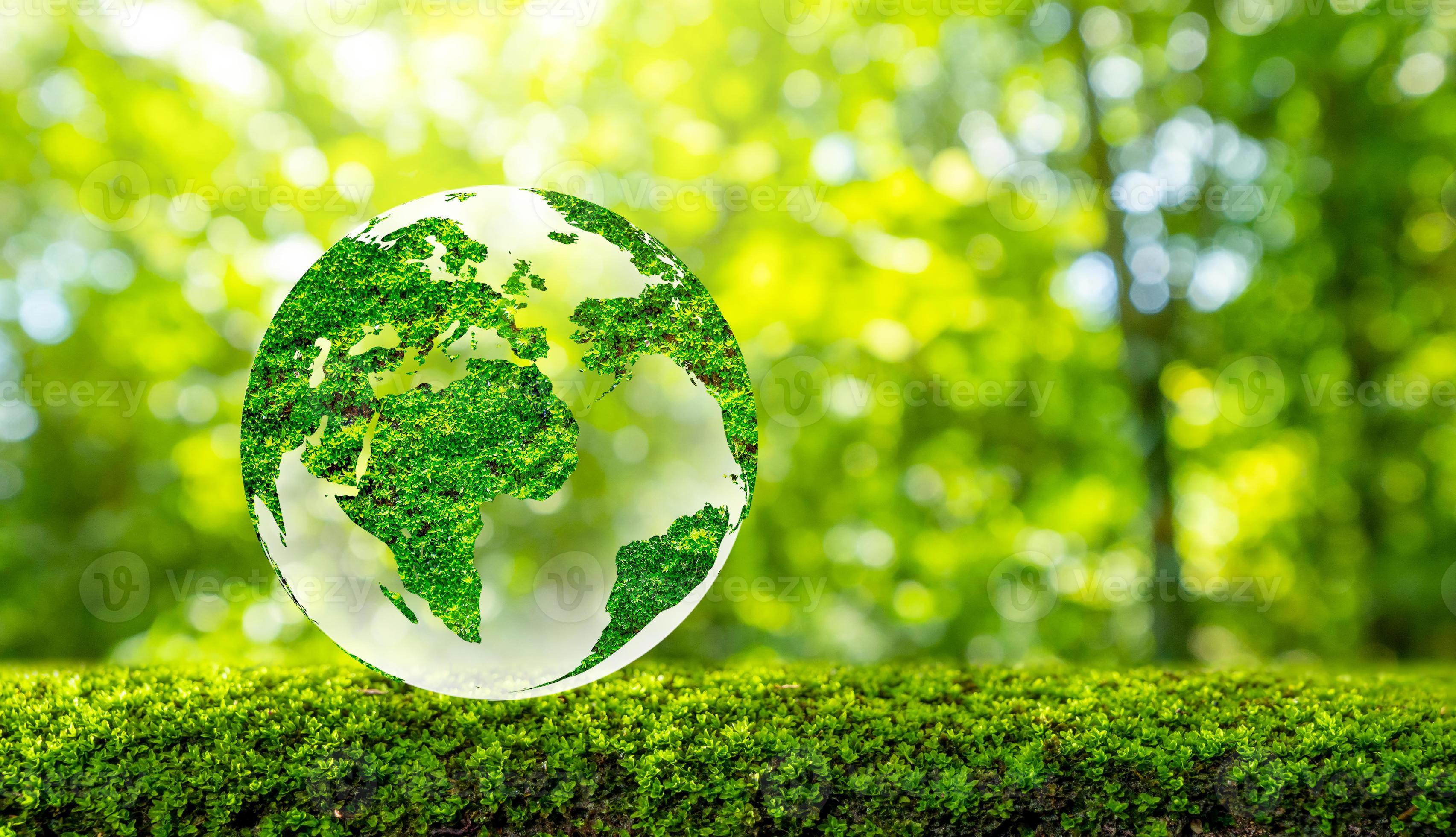 environmental science advances royal society of chemistry