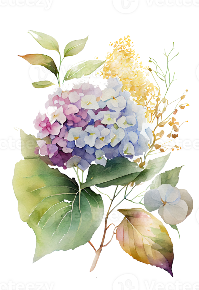 hortensia flores, ramas y hojas, acuarela cuadro. generativo ai png