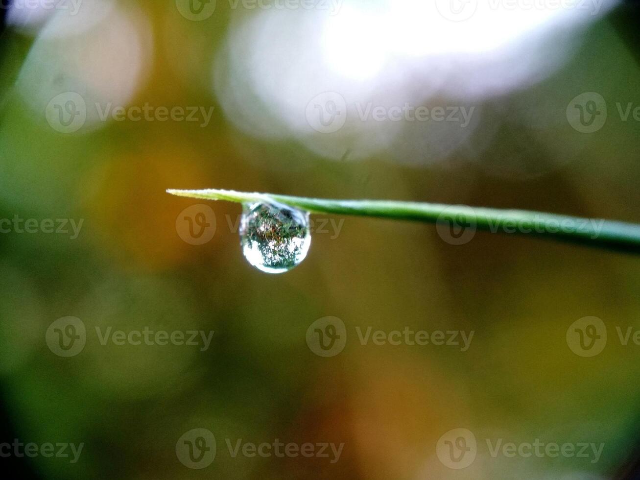 Water Drop with Blurred Background Macro Photo