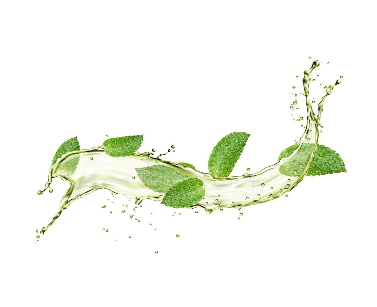 Green herbal tea flow wave splash and mint leaves vector