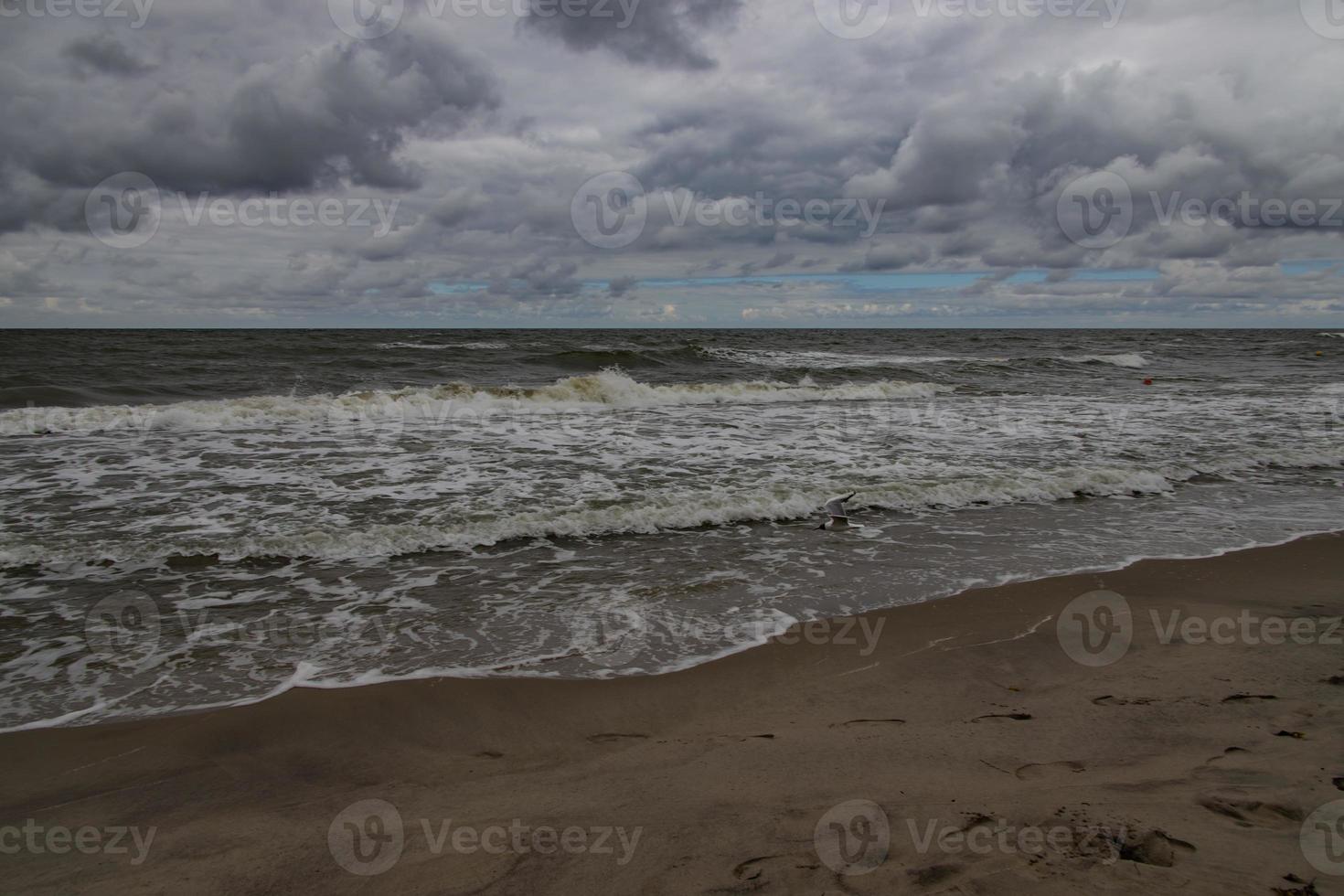 wide beach on the Baltic Sea in Poland on a summer cloudy gray cold day photo