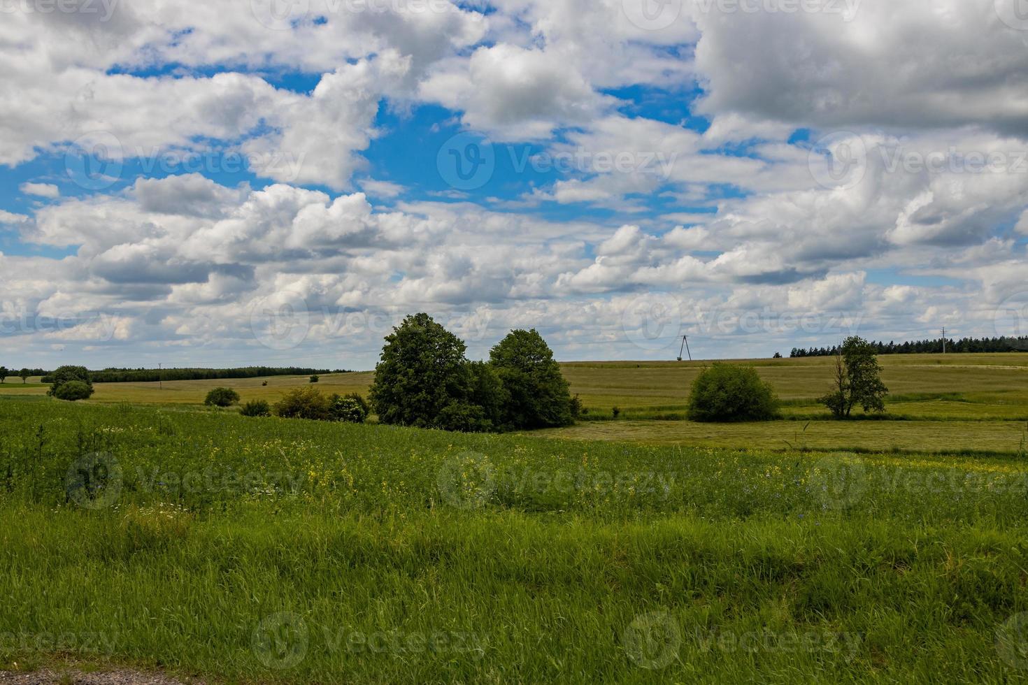 agricultural landscape in Poland on a summer day photo